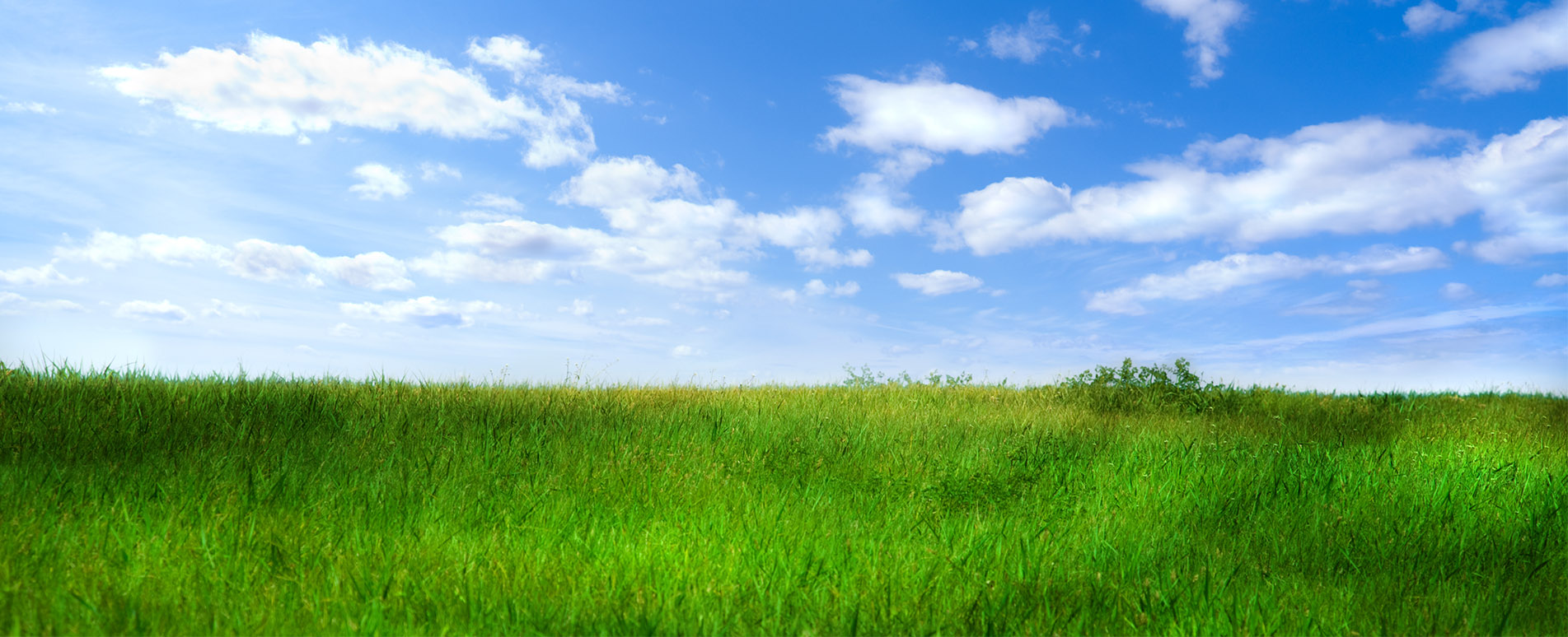 Banner - Daniel Neubauer